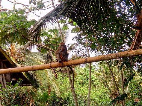 THE 5 BEST Things to Do in Bayugan .